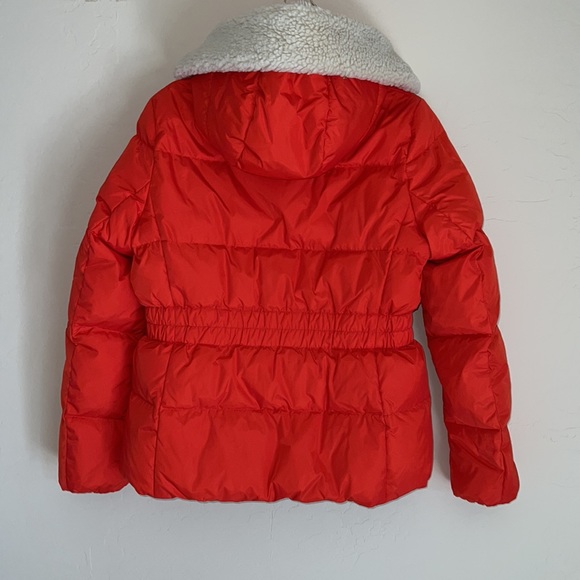NWT COACH Duck Down Puffer Hooded Jacket - Picture 4 of 9